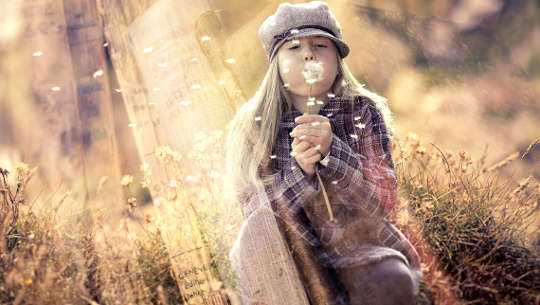 young girl blowing on a spent flower thus scattering the seeds