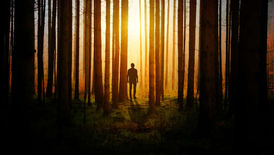 a man standing at the edge of light and dark in a forest