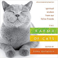 book cover: The Karma of Cats: Spiritual Wisdom from Our Feline Friends by Various Authors. 
