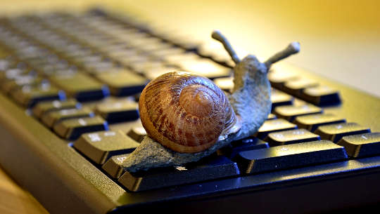 a snail on a computer keyboard