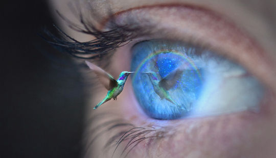 hummingbird looking into a person's eye