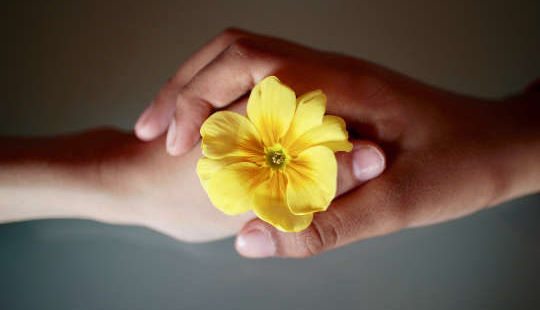 two people's hands holding a flower together