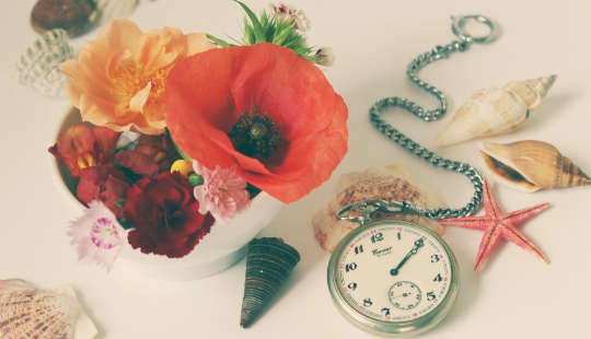 a still life with flowers, a pocket watch, and shells