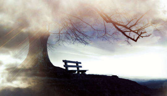 an empty bench under a tree in winter with clouds hanging low in the sky covering the top of the tree
